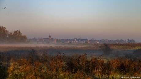 Megen in de ochtend gezien