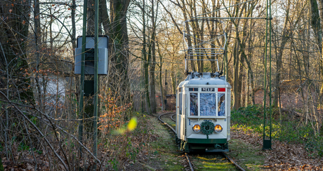 Tram in het bos - Openluchtmuseum - 26 december 2025
