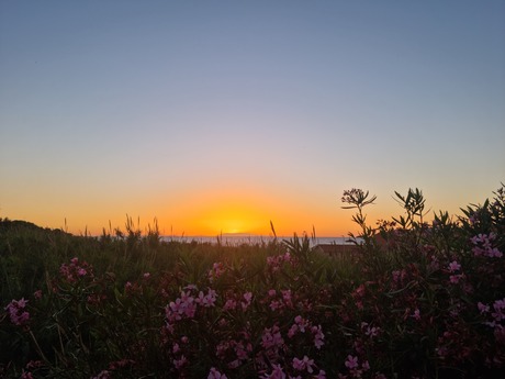 Isola di Asinara