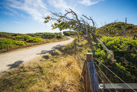 Struinen door de duinen 