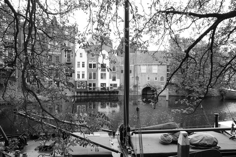 door de bomen