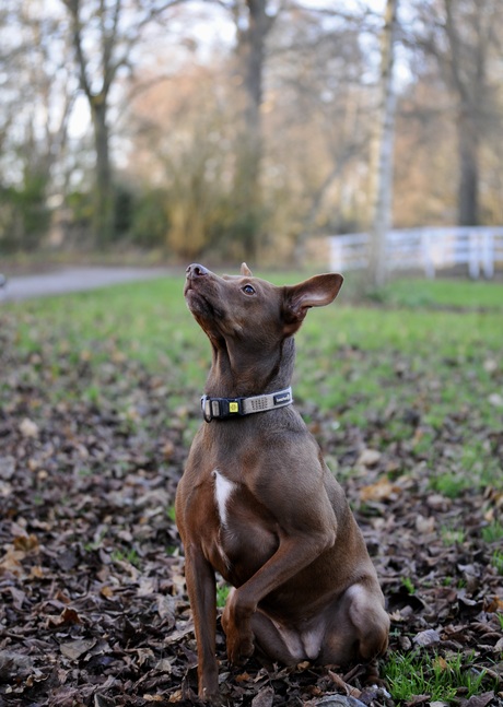 op pad met de 50-150 2.8 