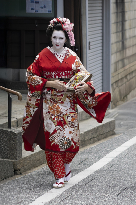 Geisha in Gion