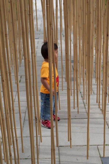 Bamboo child