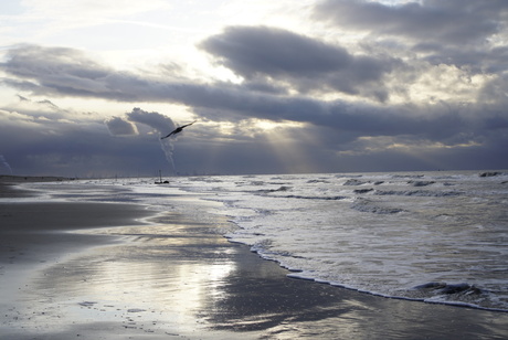 Strand bij Monster