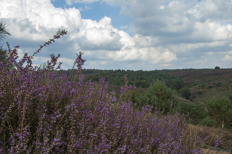 Wolkenlucht