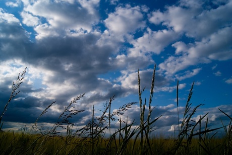 lucht klaart op