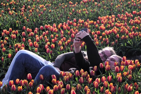 Tussen de tulpen