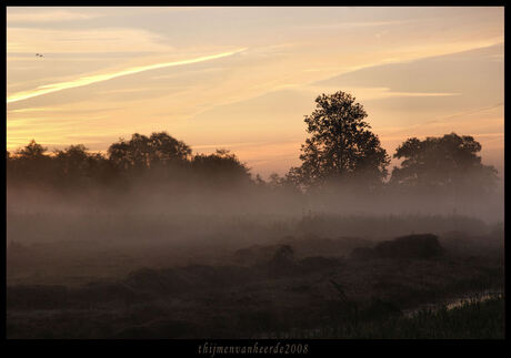 mistig landschap