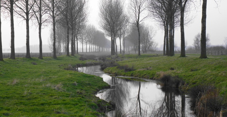 Natuurlijk gevormde beek