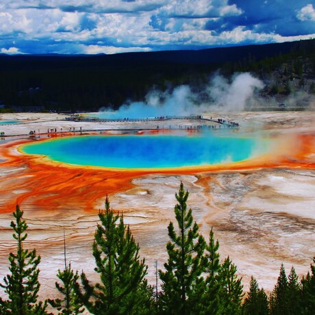 Grand Prismatic Yellowstone National park