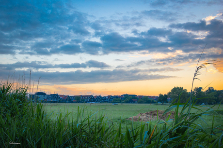 Marken in de ochtend