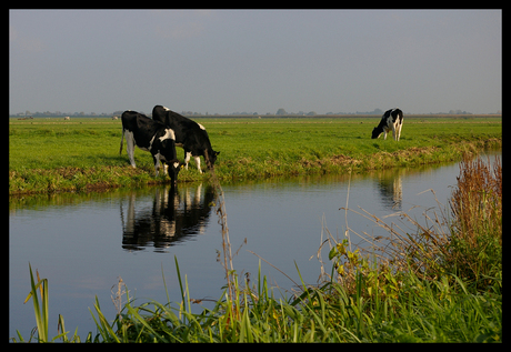 Hollandsch Landschap