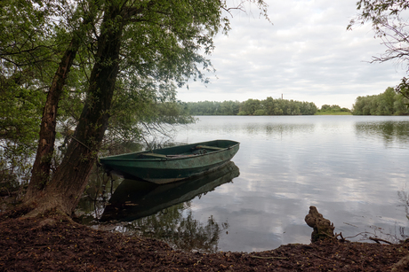 Nature at peace