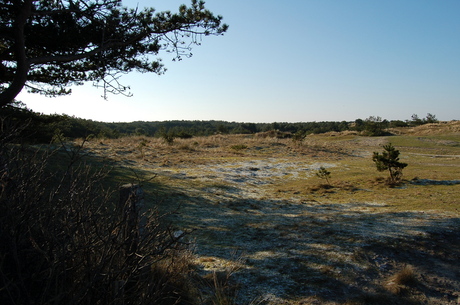 Zoals Ameland behoort te zijn!