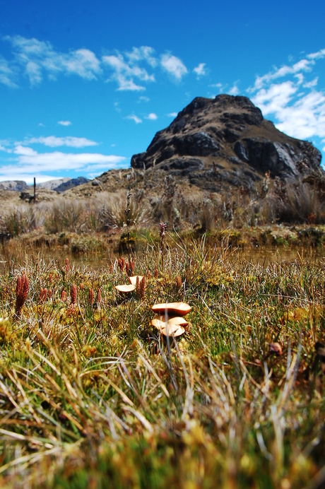 Cajas Natural Park