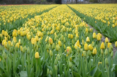 Is de lente niet prachtig?