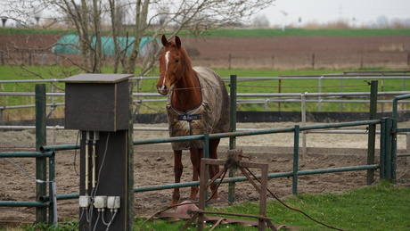 lenstest |Sigma 70-200 | F2.8