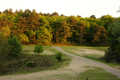Zonsondergang in de duinen
