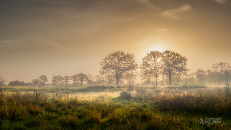 Where Morning Lingers