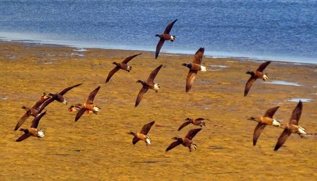 Oosterschelde