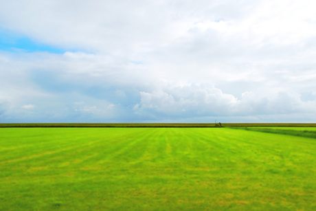 Schiermonnikoog