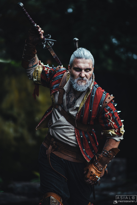 the witcher