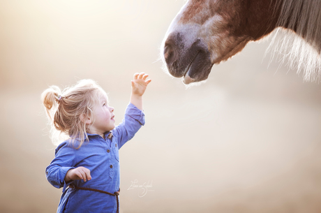 child meets horse