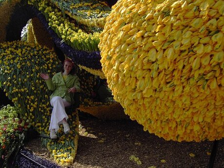 Lisse, bloemencorso.