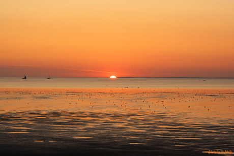 Zonsondergang bij Koehool