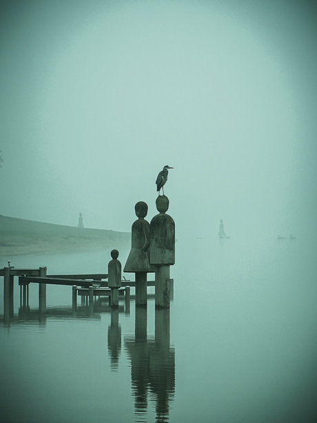 Reiger in de mist