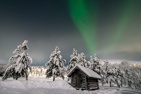Noorderlicht in Salla (Fins Lapland)