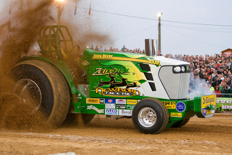 Zeinstra Newborn Deere in Bernay (F)