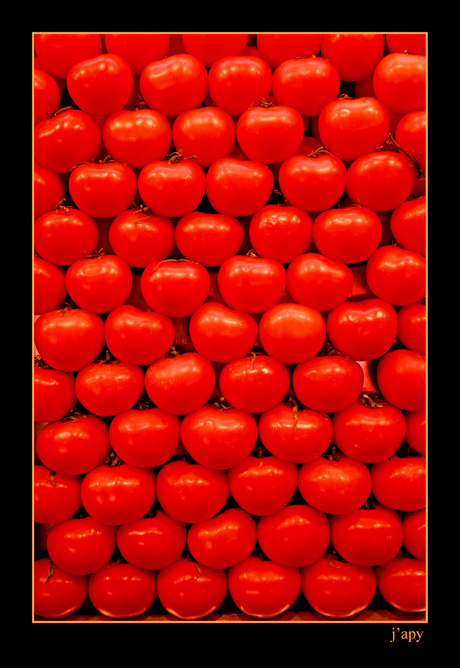 Tomato