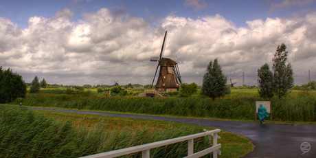 Kinderdijk