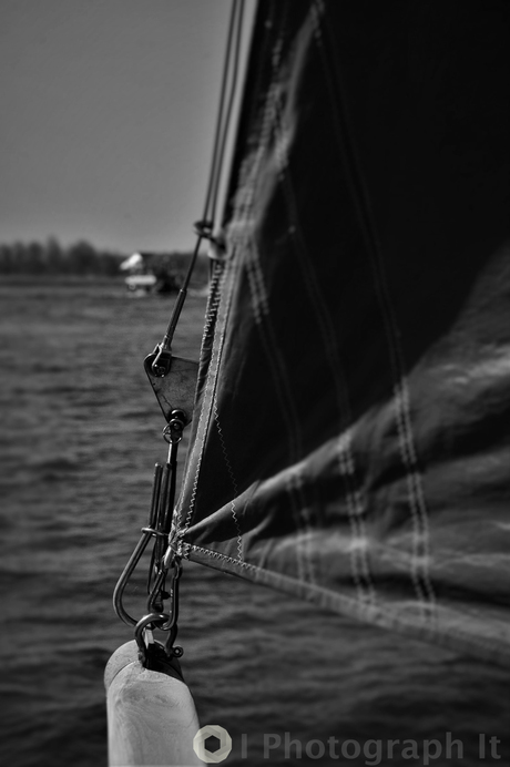 sailing