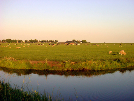 Hollands Landschap