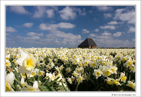 Texel