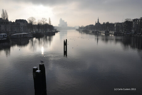 29-01-2011 amstel, amsterdam