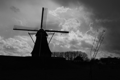 Windmolen in Waardenburg