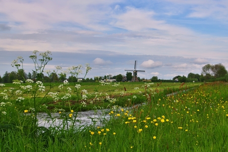 uitzicht op de molen