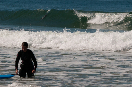 hector dolfijn geeft surfles.