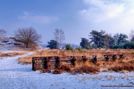 Winterwandeling Venlose Groote Heide