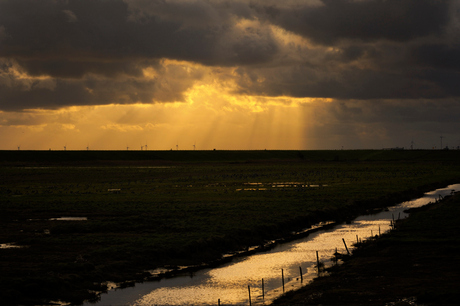 Zeeuws landschap