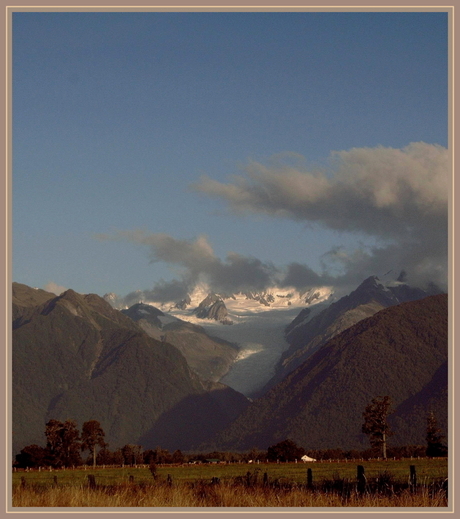 Fox Glacier