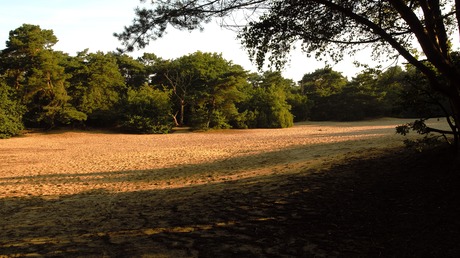 Zandbult'n
