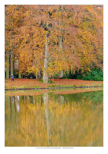 Herfstkleuren