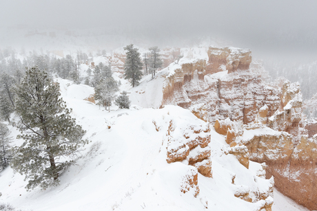 Bryce Canyon in de sneeuw