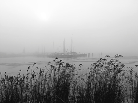 Mistig in de haven 