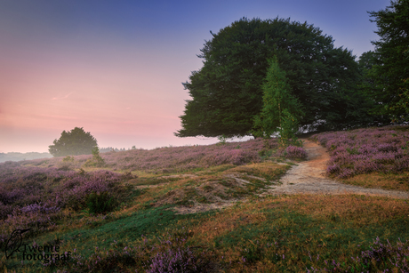 Pad over de heide